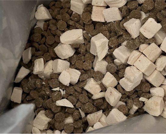 星速猫粮怎么样？