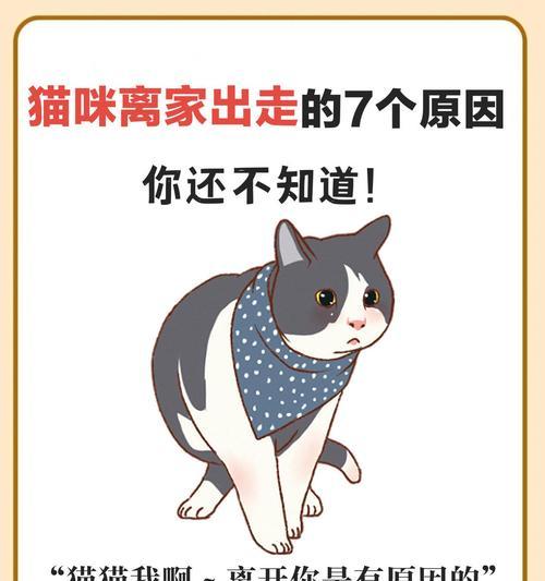 揭开猫咪吐绿水之谜|实用处理方法全攻略 揭开猫咪吐绿水之谜|实用处理方法全攻略