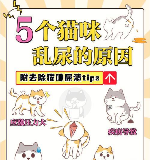 揭开猫咪吐绿水之谜｜实用处理方法全攻略