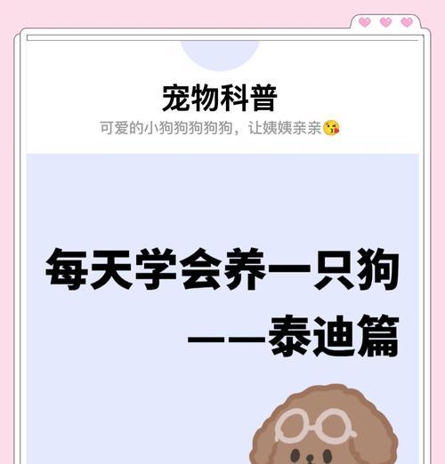 泰迪狗狗养育必备药品全攻略