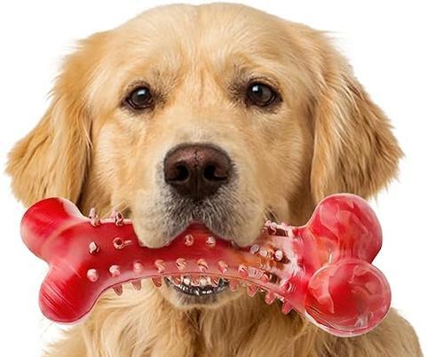 狗的牙齿咀嚼习惯及对健康的影响（探究狗的牙齿咀嚼习惯以及如何保持口腔健康）