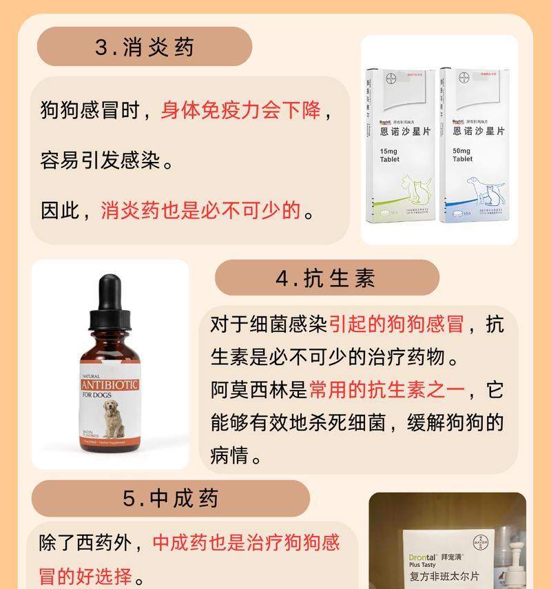 小狗感冒的痊愈时间及治疗方法(了解小狗感冒的治愈时间是关键,帮助你的宠物尽快康复) 小狗感冒的痊愈时间及治疗方法(了解小狗感冒的治愈时间是关键,帮助你的宠物尽快康复)