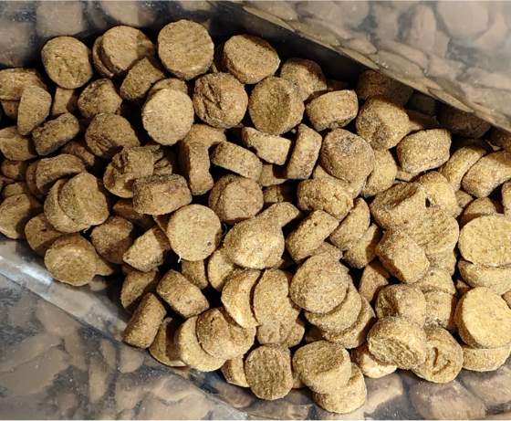 伯纳天纯猫粮怎么样？