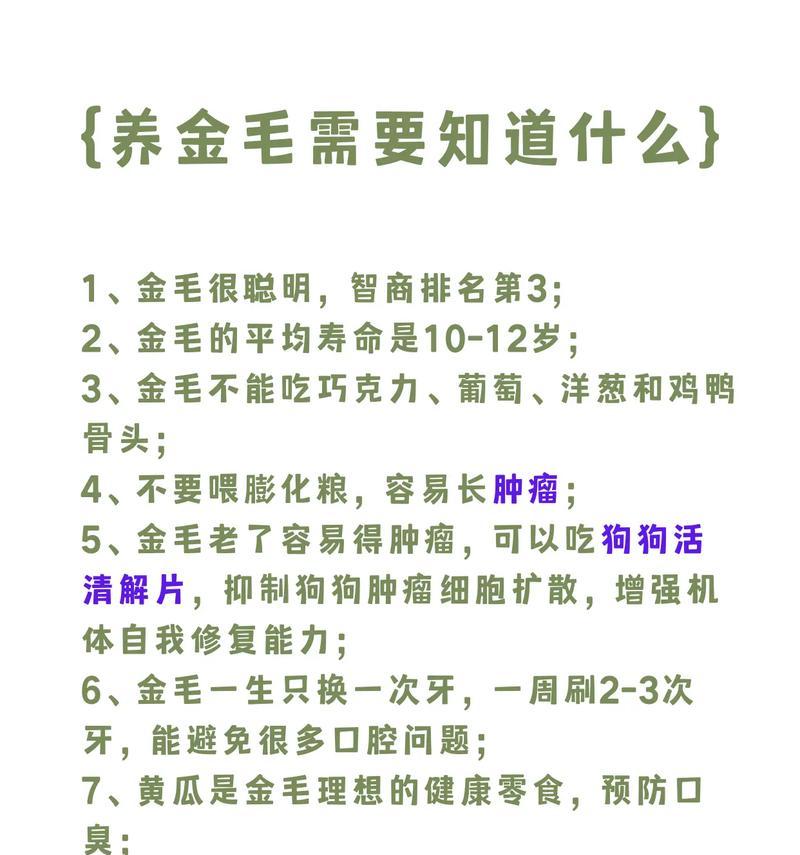 养金毛需注意的事项(宠物金毛养护指南) 养金毛需注意的事项(宠物金毛养护指南)