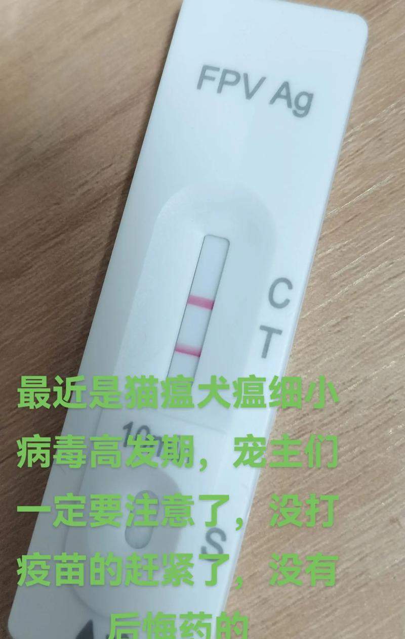 探讨狗的犬瘟潜伏期（犬瘟潜伏期长短揭秘！掌握关键信息保护你的爱犬健康）