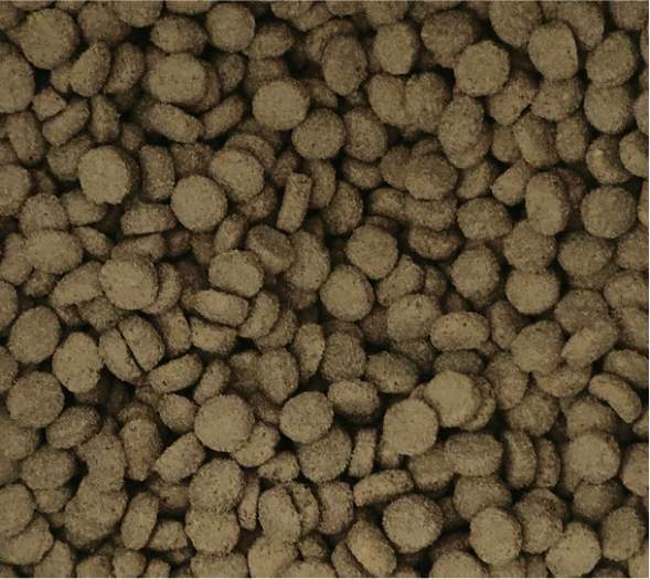 有鱼酥化猫粮测评