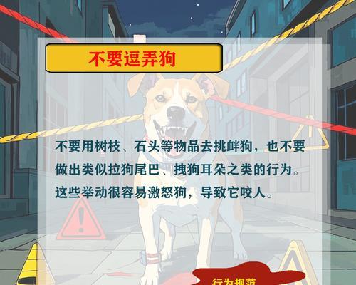 狗狗不咬人培养全攻略