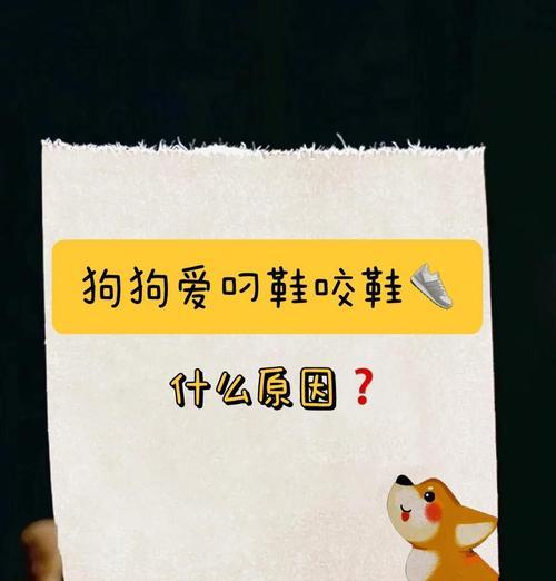 狗狗不咬人的时间是多久?(从初生到成熟,狗狗不咬人需要经历的阶段) 狗狗不咬人的时间是多久?(从初生到成熟,狗狗不咬人需要经历的阶段)