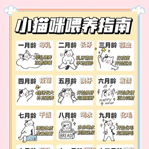 不同阶段幼猫的饲养秘籍(如何喂养不同阶段的幼猫?) 不同阶段幼猫的饲养秘籍(如何喂养不同阶段的幼猫?)