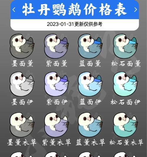 牡丹鹦鹉价格高的原因解析（探究牡丹鹦鹉价格飙升背后的原因及市场需求）
