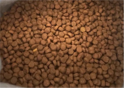 城市理享幼猫粮性价比