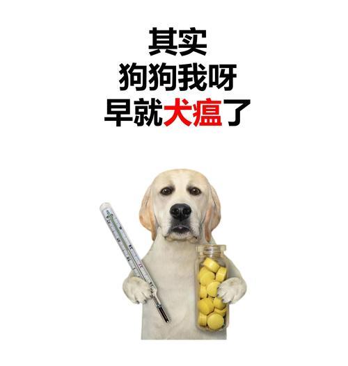 探讨狗的犬瘟潜伏期(犬瘟潜伏期长短揭秘!掌握关键信息保护你的爱犬健康) 探讨狗的犬瘟潜伏期(犬瘟潜伏期长短揭秘!掌握关键信息保护你的爱犬健康)