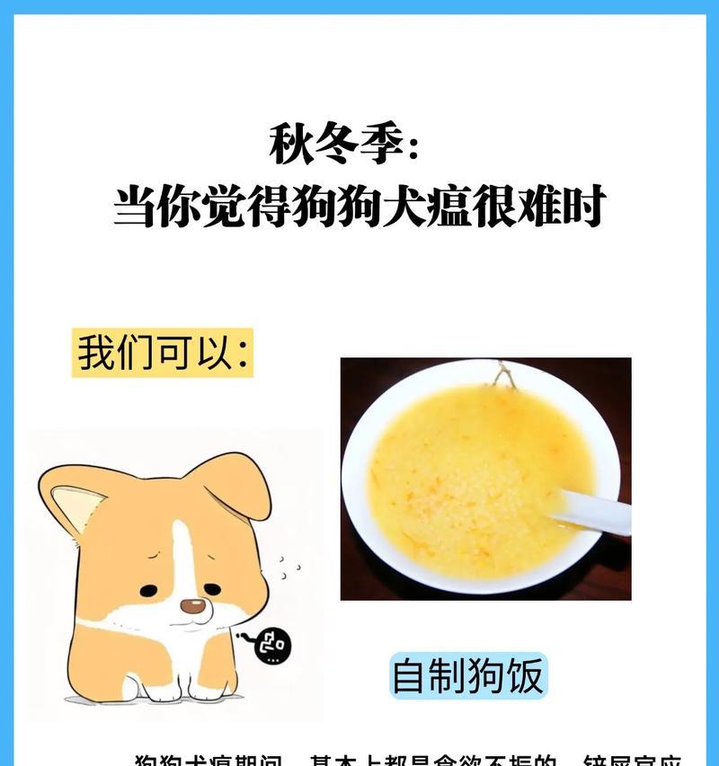 探讨狗的犬瘟潜伏期(犬瘟潜伏期长短揭秘!掌握关键信息保护你的爱犬健康) 探讨狗的犬瘟潜伏期(犬瘟潜伏期长短揭秘!掌握关键信息保护你的爱犬健康)