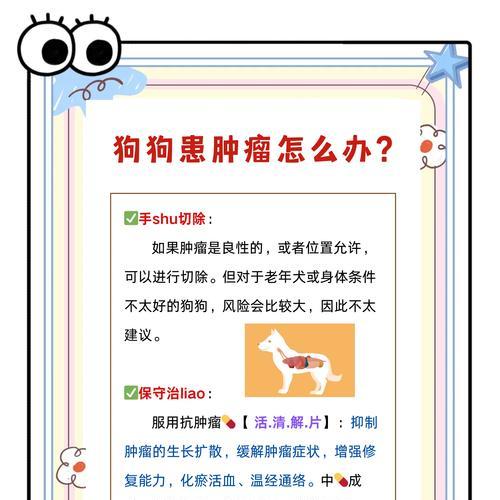 狗狗腹部肿大原因及处理方法全攻略