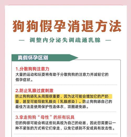 母狗假孕症状疗程全攻略