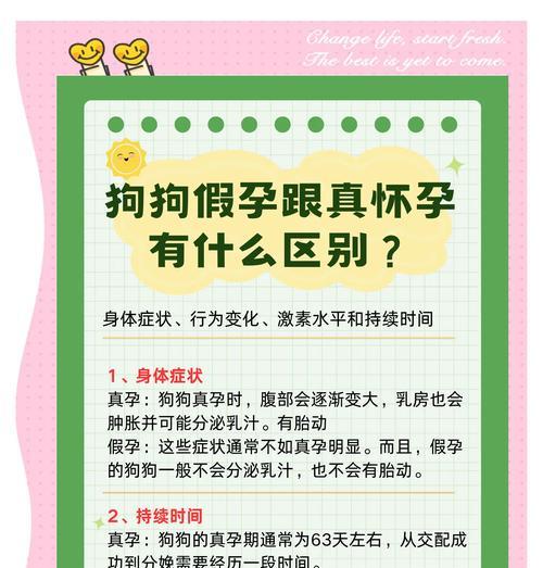 母狗假孕症状疗程全攻略