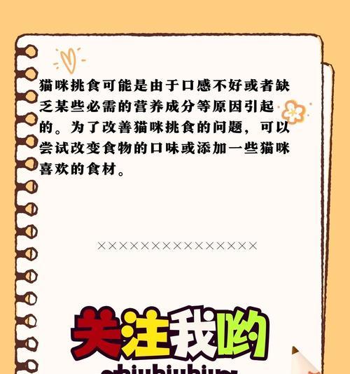 不同阶段幼猫饲养秘籍全攻略