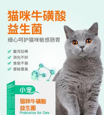 猫便秘益生菌正确使用与食用时间｜关键步骤全攻略