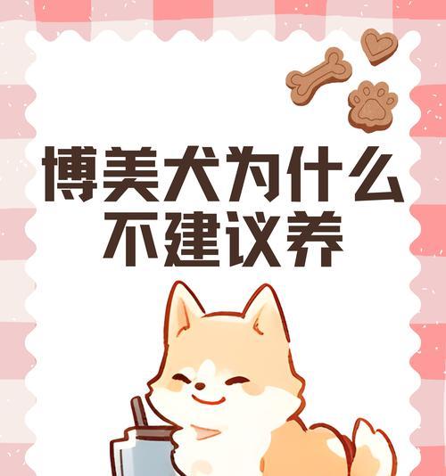 影响博美犬价格的关键因素｜选购宠物伴侣全攻略