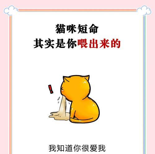 猫咪能吃哪些肉？解析食肉习性及合适肉类｜实用指南