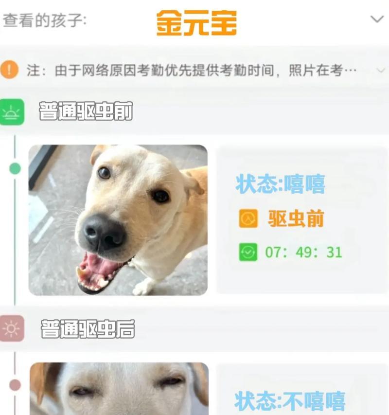 小狗到家后多久驱虫?最佳时间及注意事项全攻略 小狗到家后多久驱虫?最佳时间及注意事项全攻略