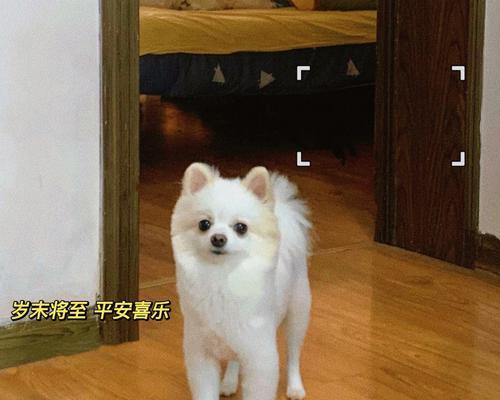 以俊介毛发护理频率探析：剪发周期与形象塑造核心技巧