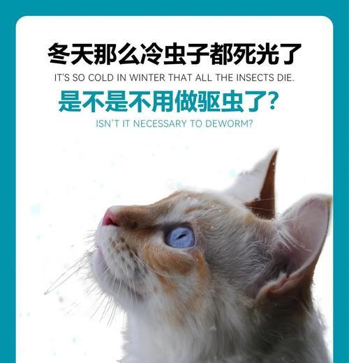 小狗到家后多久驱虫?最佳时间及注意事项全攻略 小狗到家后多久驱虫?最佳时间及注意事项全攻略