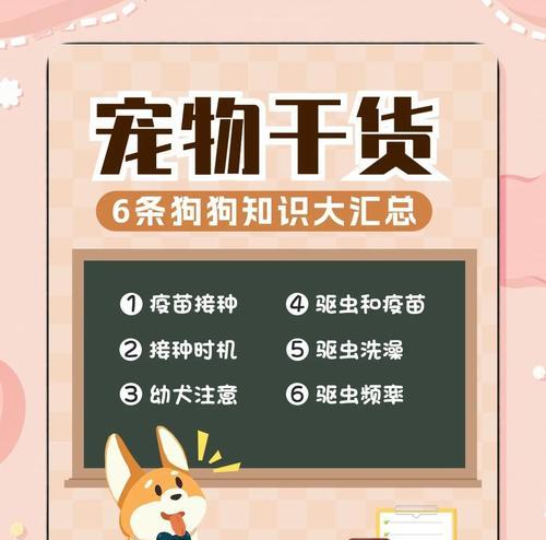 小狗到家后多久驱虫?最佳时间及注意事项全攻略 小狗到家后多久驱虫?最佳时间及注意事项全攻略