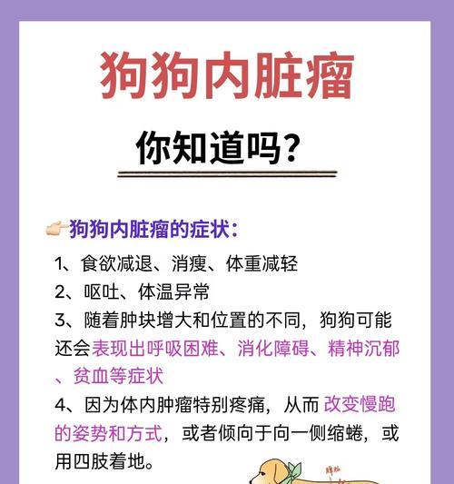 狗子宫癌症状大揭秘（了解狗子宫癌的症状及早发现关键）