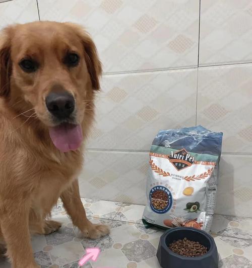 狗粮没开封能放多久？保质期管理全攻略