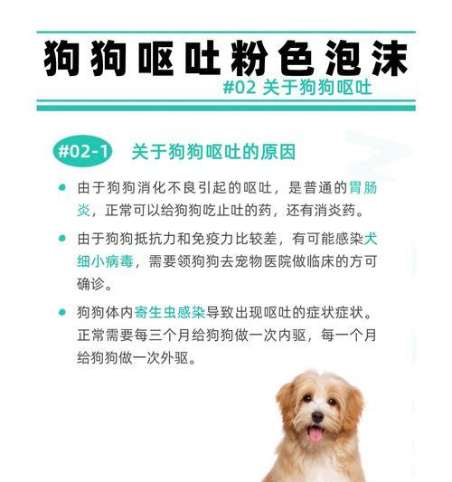 狗狗不吃饭呕吐泡沫状粘液，原因及处理方法