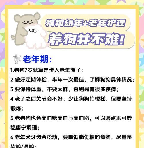 狗狗换粮了三天不拉屎，如何进行护理？（探讨狗狗换粮后不拉屎的原因及有效的护理措施）
