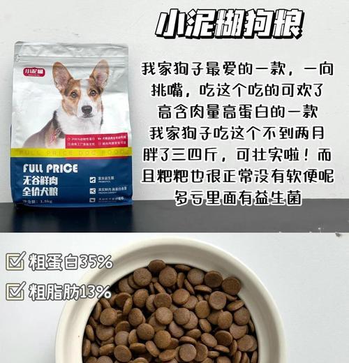 狗狗换粮后不拉屎原因及护理方法｜全面指南