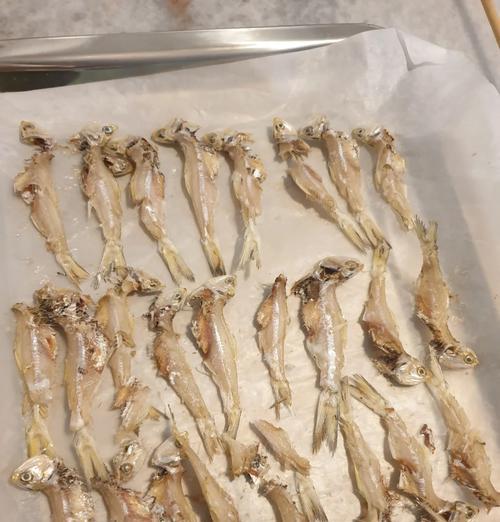 给小狗补钙的食物有哪些？（小狗缺钙怎么办？15种补钙食物让它快乐成长！）