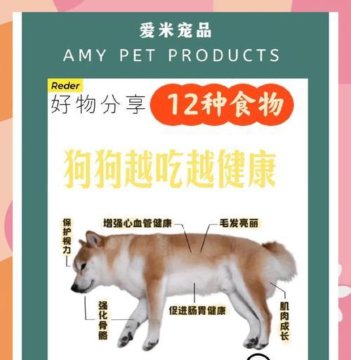 给小狗补钙的食物有哪些？（小狗缺钙怎么办？15种补钙食物让它快乐成长！）