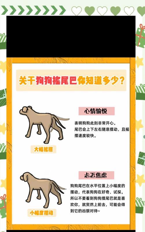 狗狗断尾利弊分析与注意事项｜全面指南