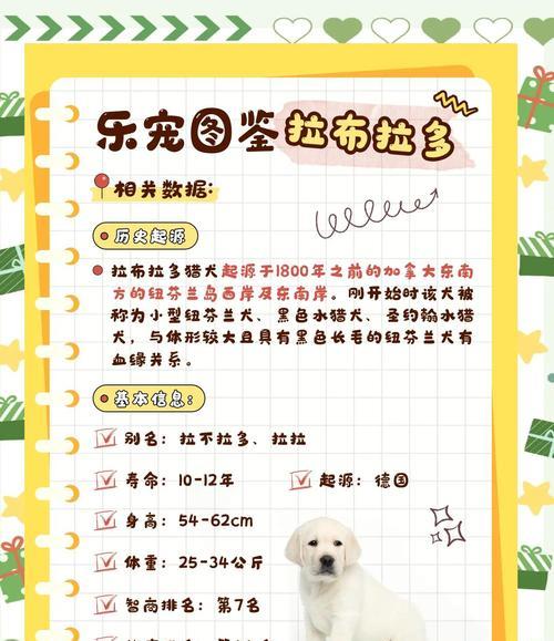 揭秘拉布拉多犬的起源与品类分支（拉布拉多犬的起源、6个品类分支及其特点）