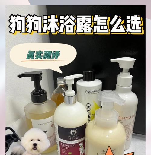 比熊三个月后可以洗澡吗?(探讨比熊宝宝洗澡的最佳时机和注意事项) 比熊三个月后可以洗澡吗?(探讨比熊宝宝洗澡的最佳时机和注意事项)
