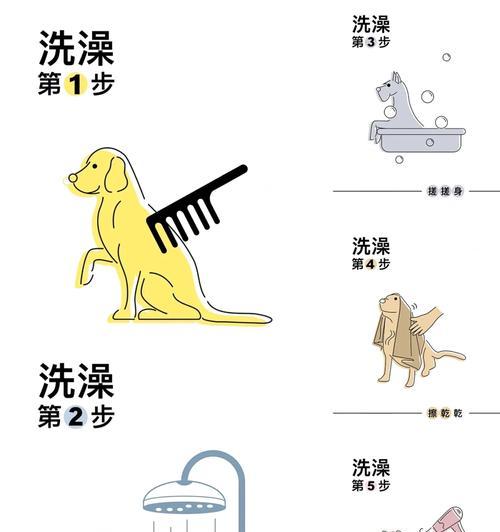 如何辨别新生小狗性别｜实用技巧全攻略