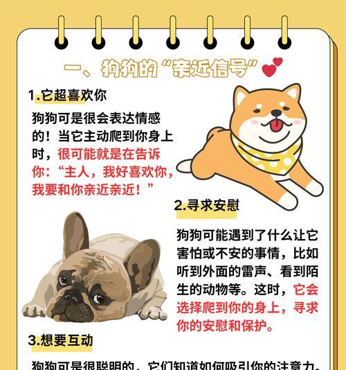 狗熟悉主人需要多长时间｜科学解析与情感培养全攻略