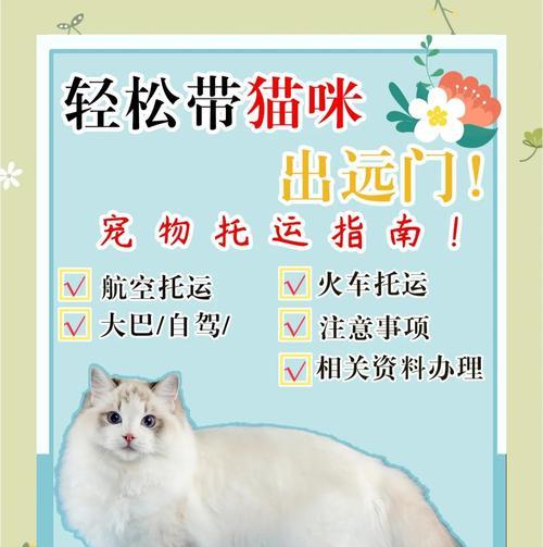 猫咪托运的费用和交通工具选择（了解猫咪托运的费用和可选交通工具，为宠物旅行提供便利）