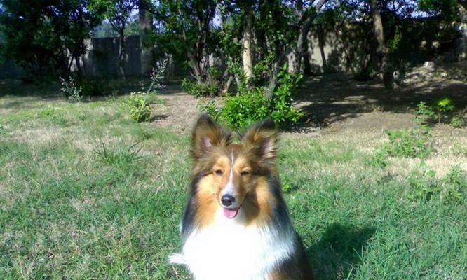 喜乐蒂生活方式全攻略｜健康快乐生活秘诀