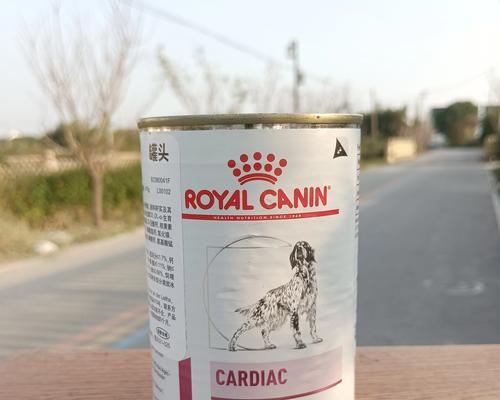 泰迪处方粮食用时长解析｜科学喂养全攻略