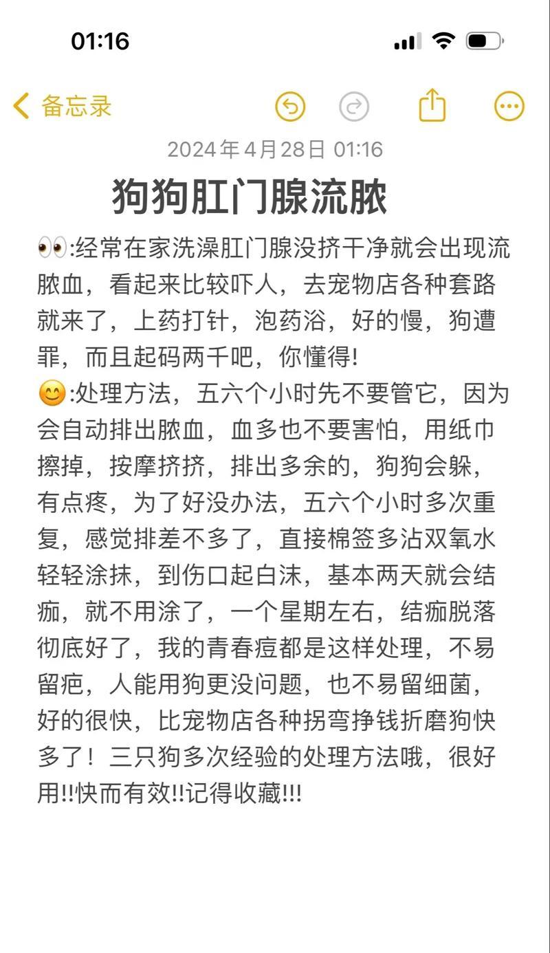 狗的腺肛门清理(探讨狗狗腺肛门清理的频率及注意事项) 狗的腺肛门清理(探讨狗狗腺肛门清理的频率及注意事项)