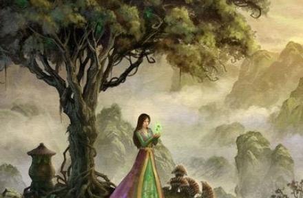 狗湿粮密封保存技巧与保质期管理|实用指南 狗湿粮密封保存技巧与保质期管理|实用指南