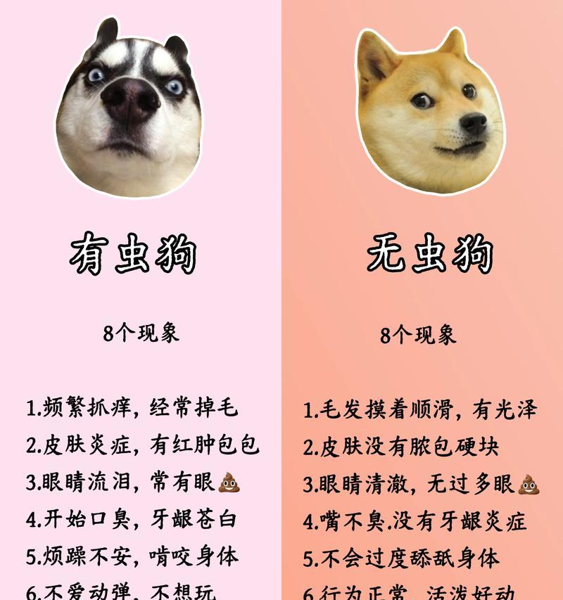 四个月狗狗驱虫频率指南|每月一次全攻略 四个月狗狗驱虫频率指南|每月一次全攻略