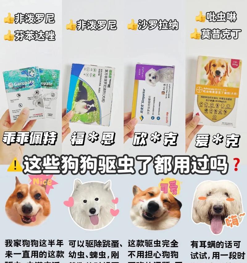 四个月狗狗驱虫频率指南|每月一次全攻略 四个月狗狗驱虫频率指南|每月一次全攻略