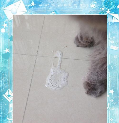 猫咪吐了没消化的猫粮,肠胃不好是原因吗?(探究猫咪吐出没消化的猫粮的原因和解决方法) 猫咪吐了没消化的猫粮,肠胃不好是原因吗?(探究猫咪吐出没消化的猫粮的原因和解决方法)