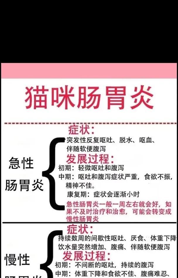猫咪吐了没消化的猫粮,肠胃不好是原因吗?(探究猫咪吐出没消化的猫粮的原因和解决方法) 猫咪吐了没消化的猫粮,肠胃不好是原因吗?(探究猫咪吐出没消化的猫粮的原因和解决方法)