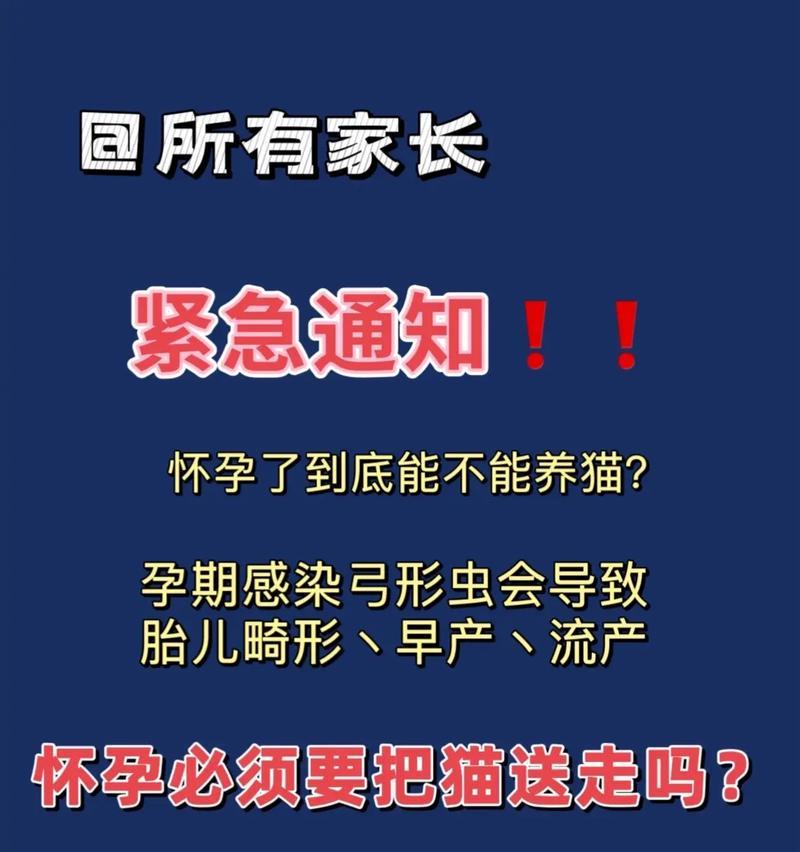 猫咪怀孕多久容易流产?(流产风险、影响因素及预防措施) 猫咪怀孕多久容易流产?(流产风险、影响因素及预防措施)